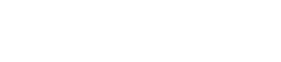 adnkronos